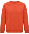 03567 Space SOL'S Unisex Space Organic Raglan Sweatshirt Burnt Orange colour image